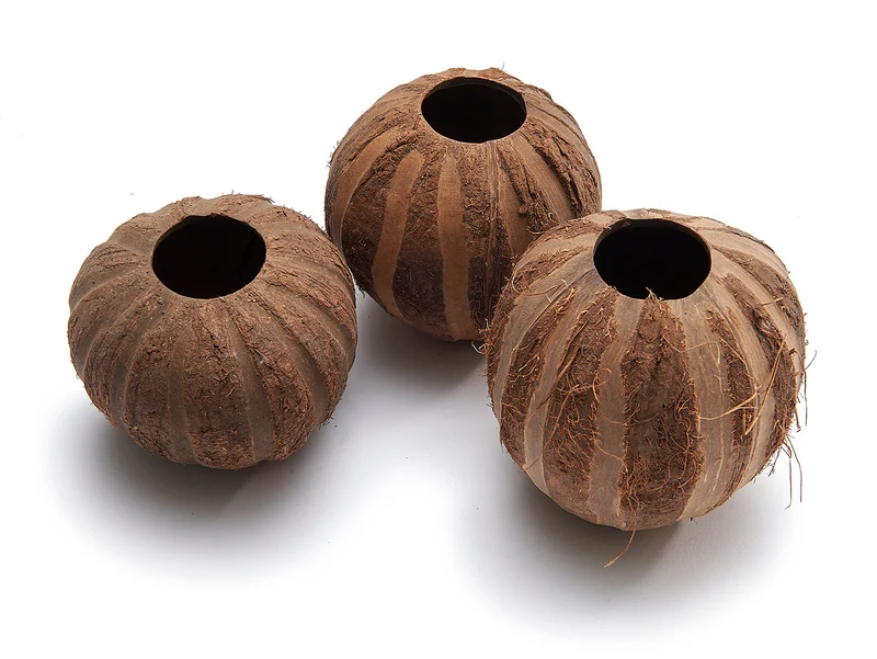 Kokosstreifen natur ±10cm - 5 Stück