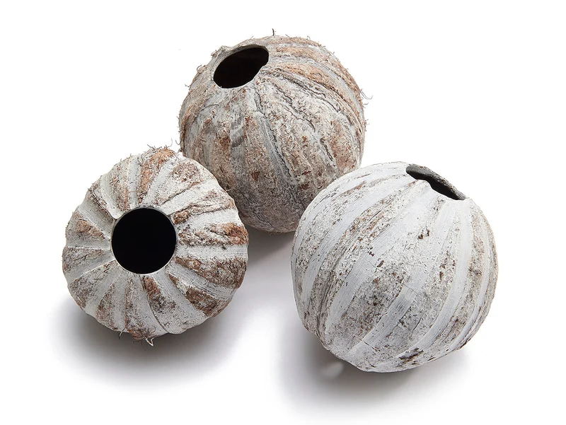 Kokos gestreift Frost. Weiß ±10cm - 5 Stück