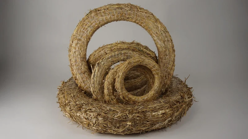 50 cm speichern