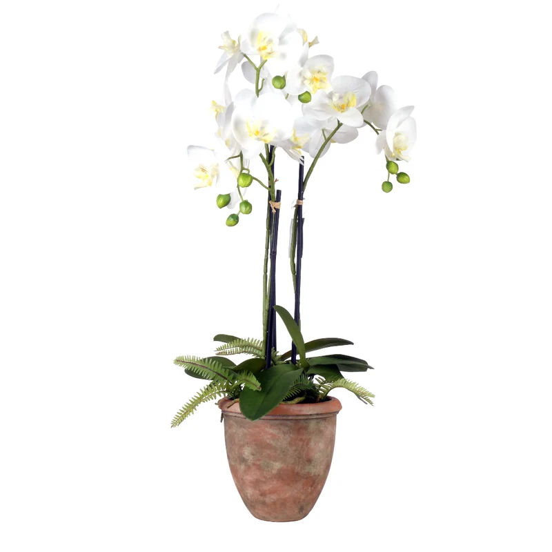 Orchidee 3 Rispen + Farn im Keramiktopf H68cm weiß