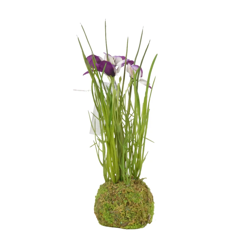 Viola auf Moosball H24cm lila