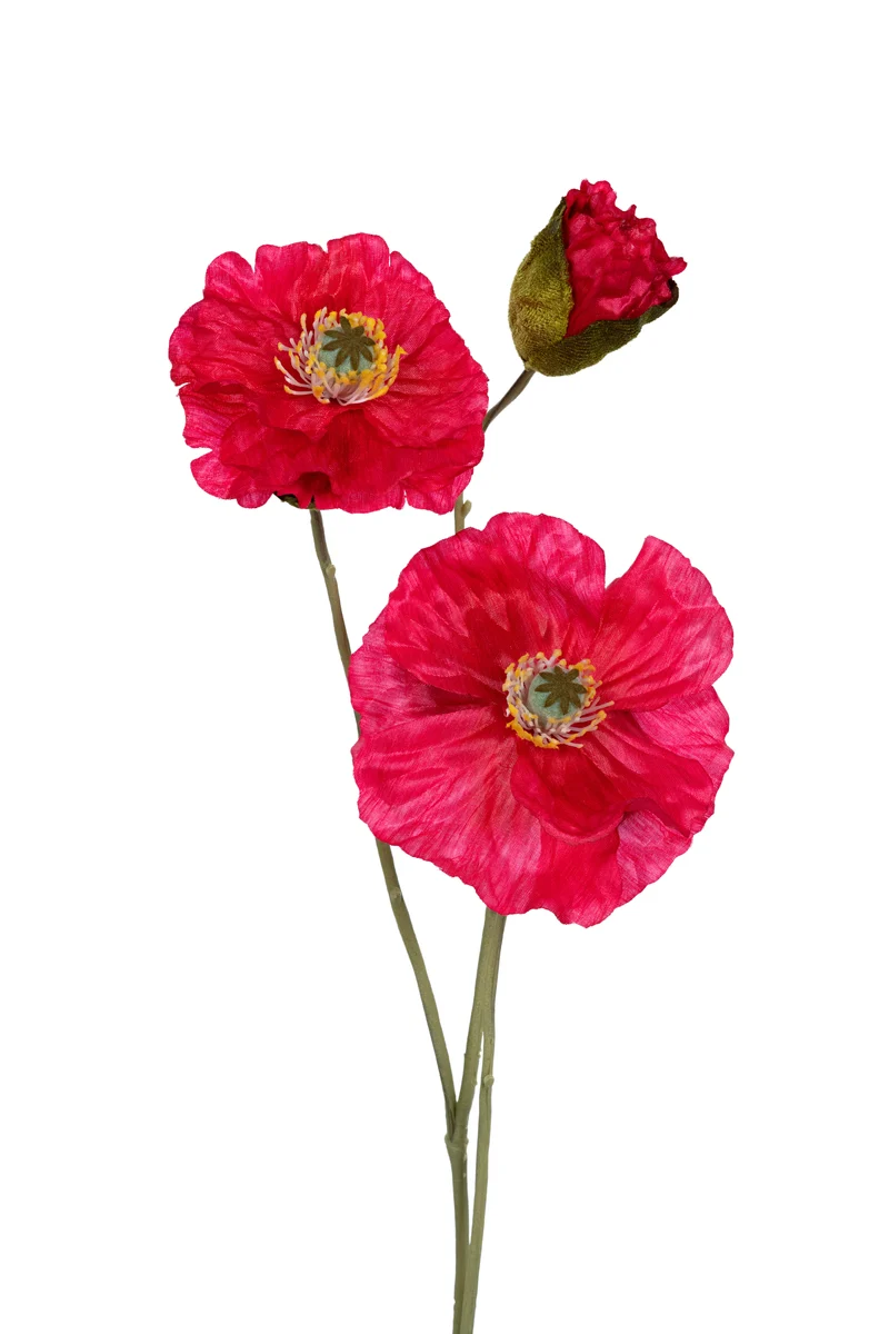 Mohn x3 L76cm kirschrot
