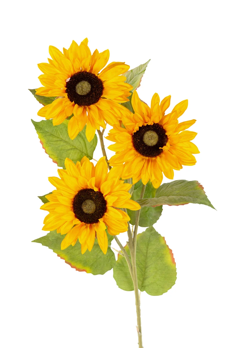 Sonnenblume x3 L98cm gelb