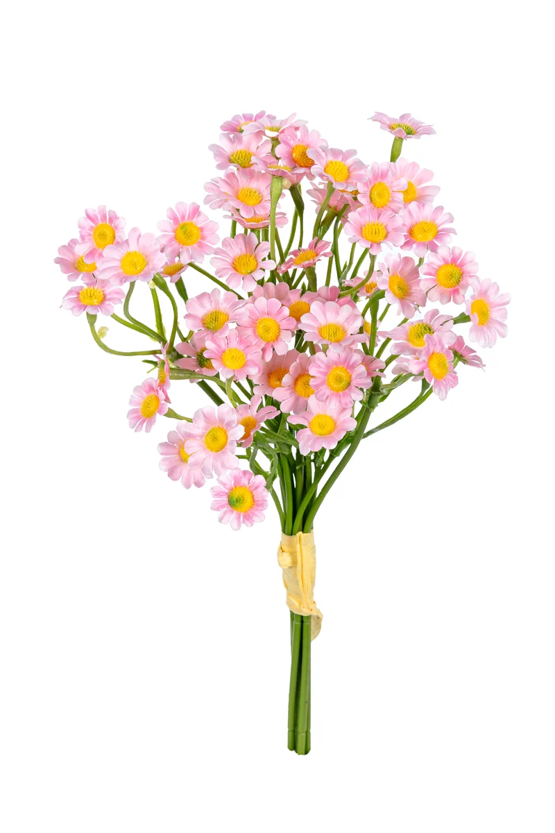 Margeritenbundel H27cm rosa