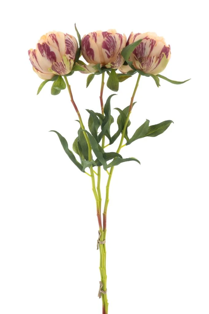 Paeony Marlie Bündel 3 Stk. peach 63cm