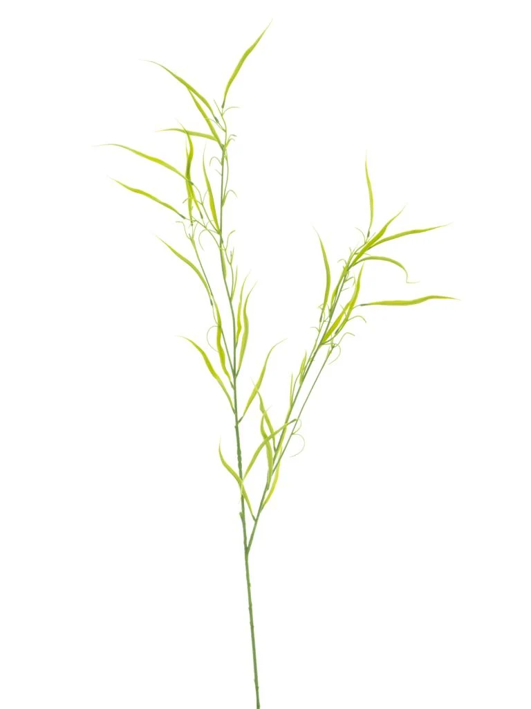 Grass-Spray frischgrün 106 cm