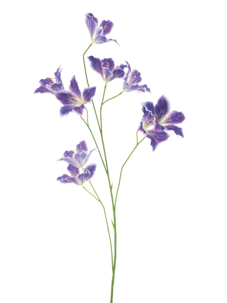 Wildlilien-Spray Lila 86cm