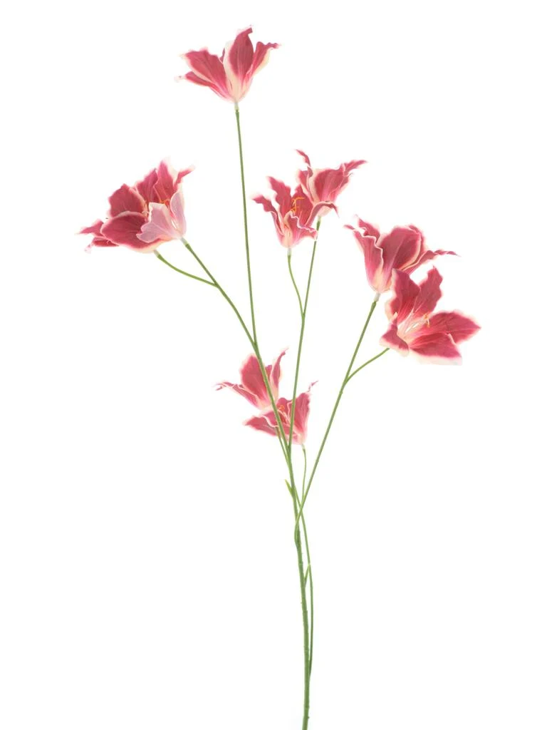 Wilde Lilie Spray rot 86cm