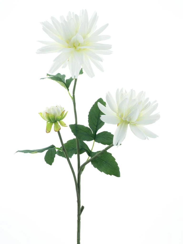 Dahlie Spray New York creme 76cm