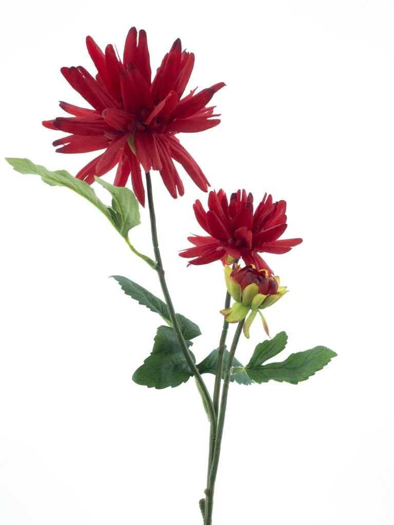 Dahlien-Spray New York rot 76cm