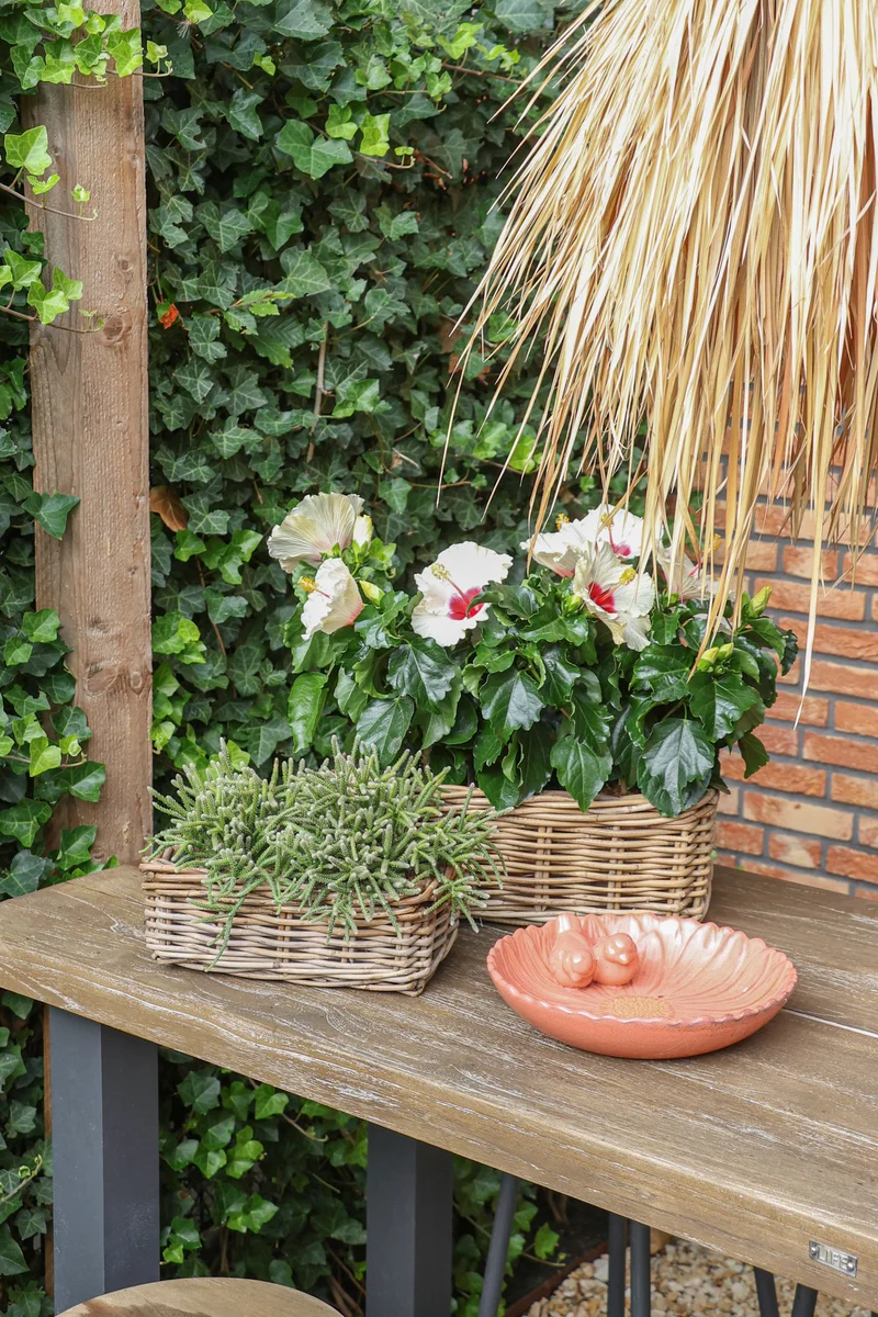 Rattan „Kubu“ Rechteckig Natur H14xB16xL32cm