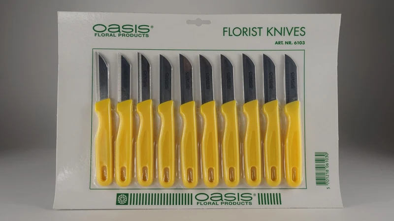 Karte mit 10 Scheiben Gelb OASIS®