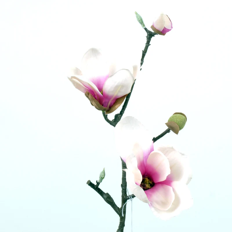 Magnolie L41cm rosa