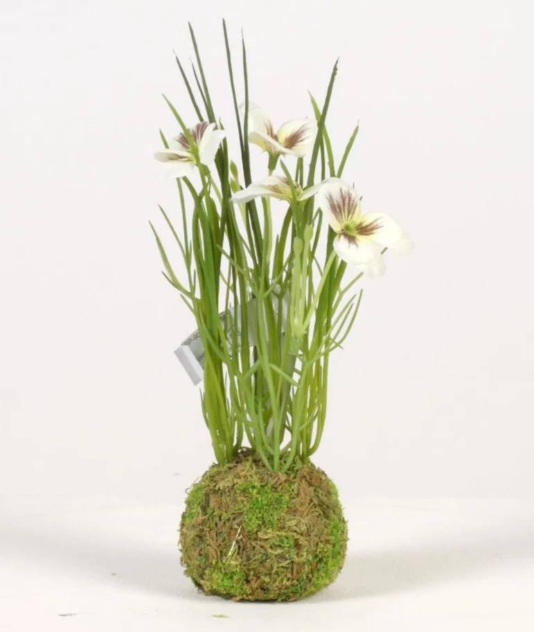 Veilchen auf Moosball H24cm weiß