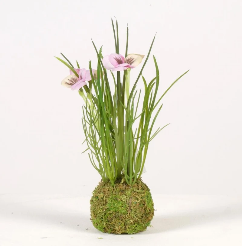 Viola auf Moosball H24cm pink
