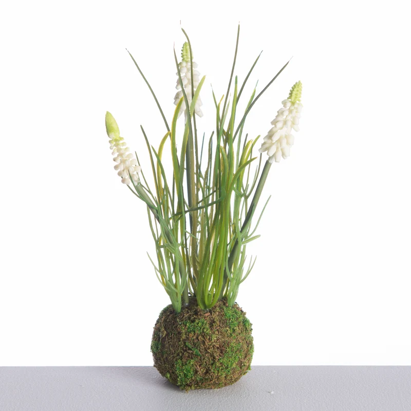Traubenhyazinthe x3 auf Moosball L24cm weiß