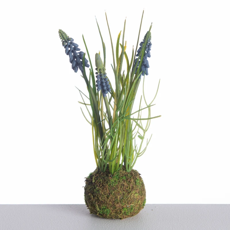 Traubenhyazinthe x3 auf Moosball L24cm blau