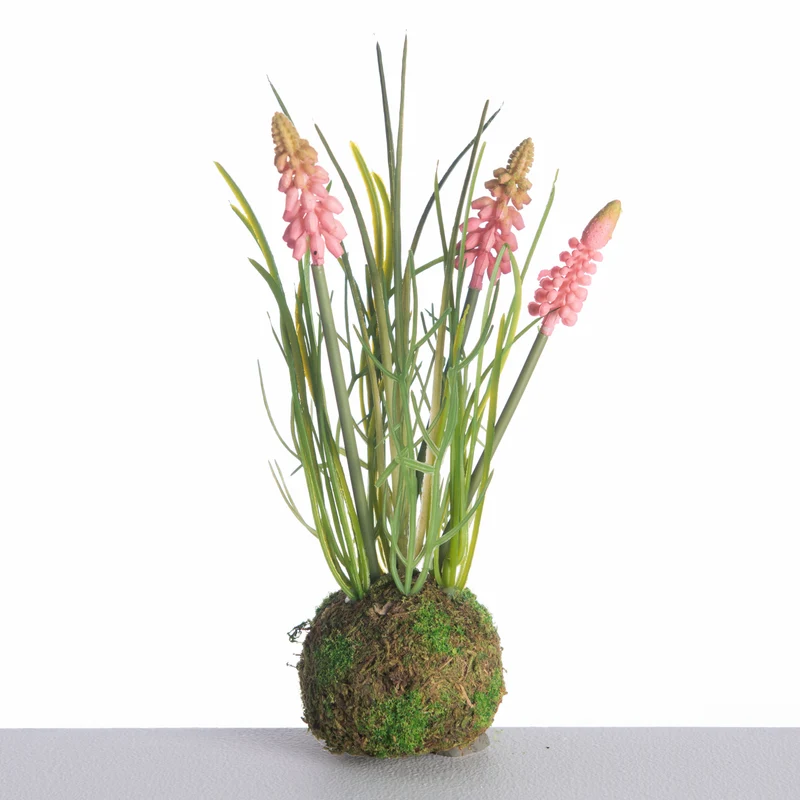 Muscari x3 auf Moosball L24cm Rosa
