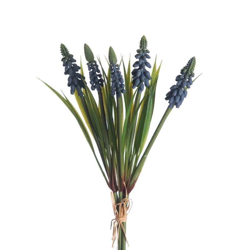 Muscari Bund x5 L28cm Blau