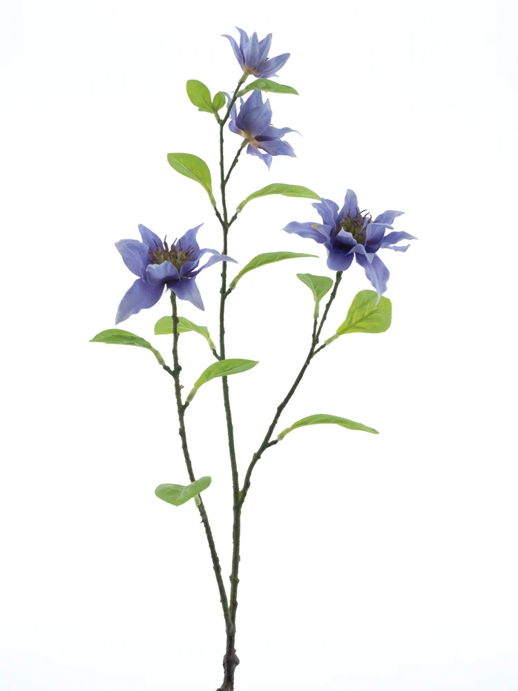 Jewel Clematis Spray Lavendel 75cm