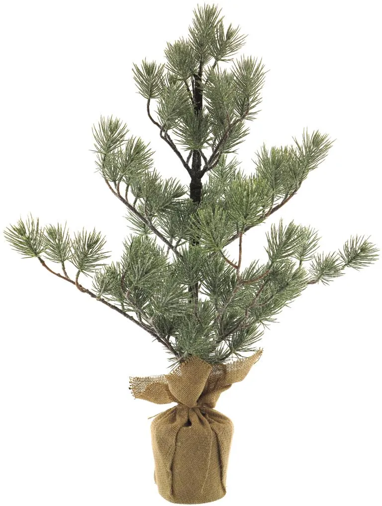 Pinus Baum im Jutesack grün mit Eis 72cm