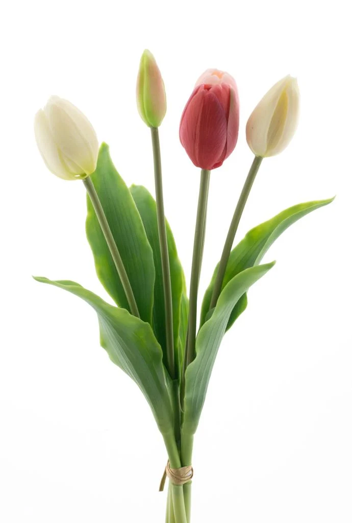 Real Touch Holland Tulpen-Set Sally X5, rosa/cremefarben, 36 cm