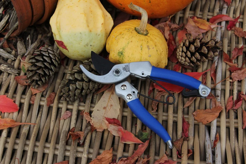 Metall-Schere 18 cm Damenmodell blau/grau