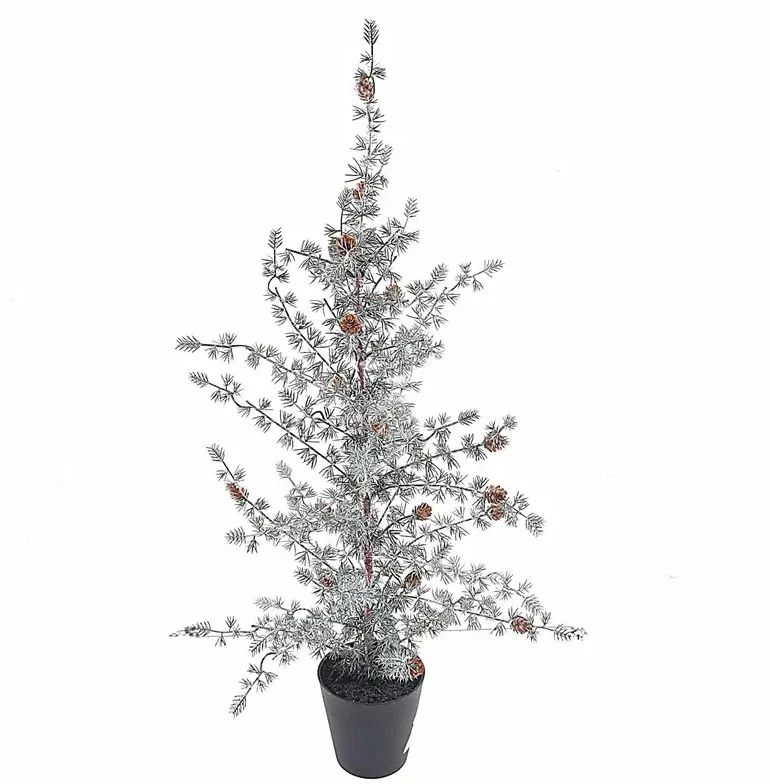 Ming-Kiefer im Topf, 67 cm, Grün/Weiß