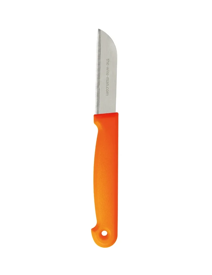 Tasche oder Karte mit 10 Schalen Orangen