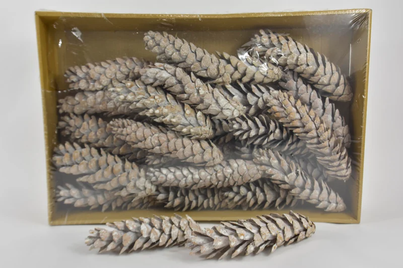 Kiefernzapfen 'Strobus' gefroren weiß ca. 25cm 25 Stück
