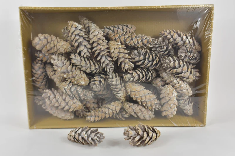 Kiefernzapfen 'Strobus' gefroren weiß ca. 15cm 50 Stück
