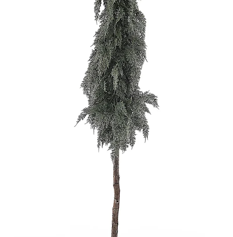 Zeder/Kegelbaum am Stamm im Topf 160cm Grün