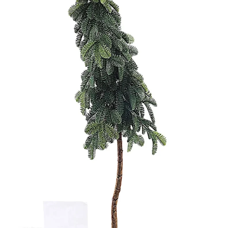 AngelPine Zapfenbaum am Stamm im Topf 160cm Grün