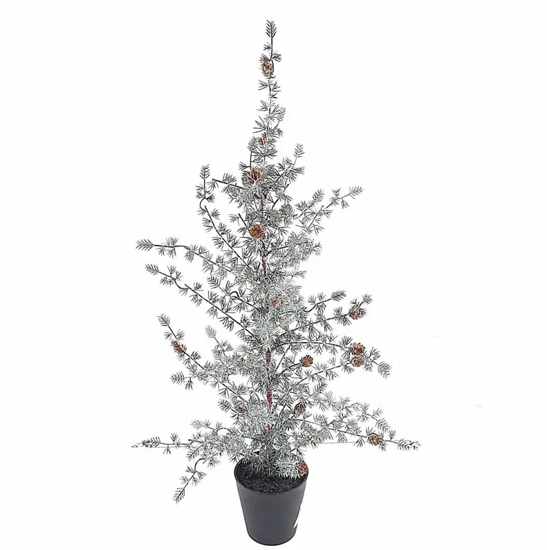 Ming-Kiefer im Topf Grün/Weiß 150cm
