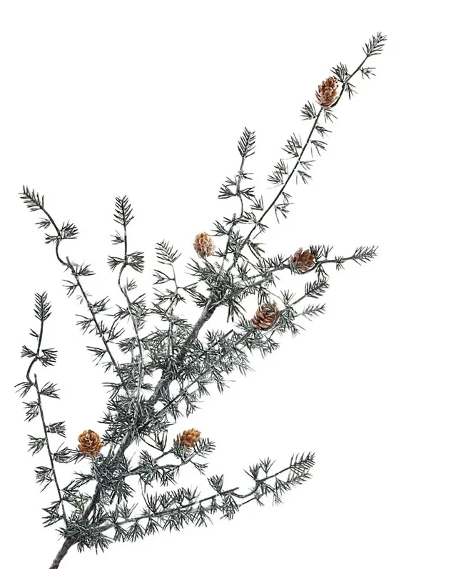 Ming Pine Spray 81cm Grün/Weiß