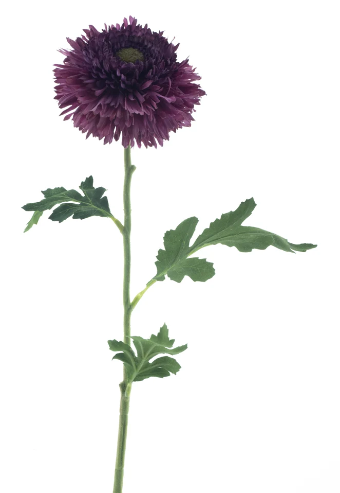 Wilde Gerbera Spray, lila, 67 cm