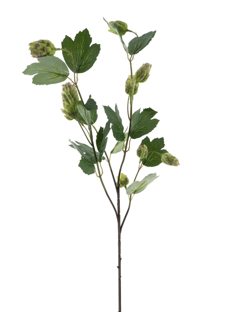 Hop-Spray La Choeffe grün 76cm