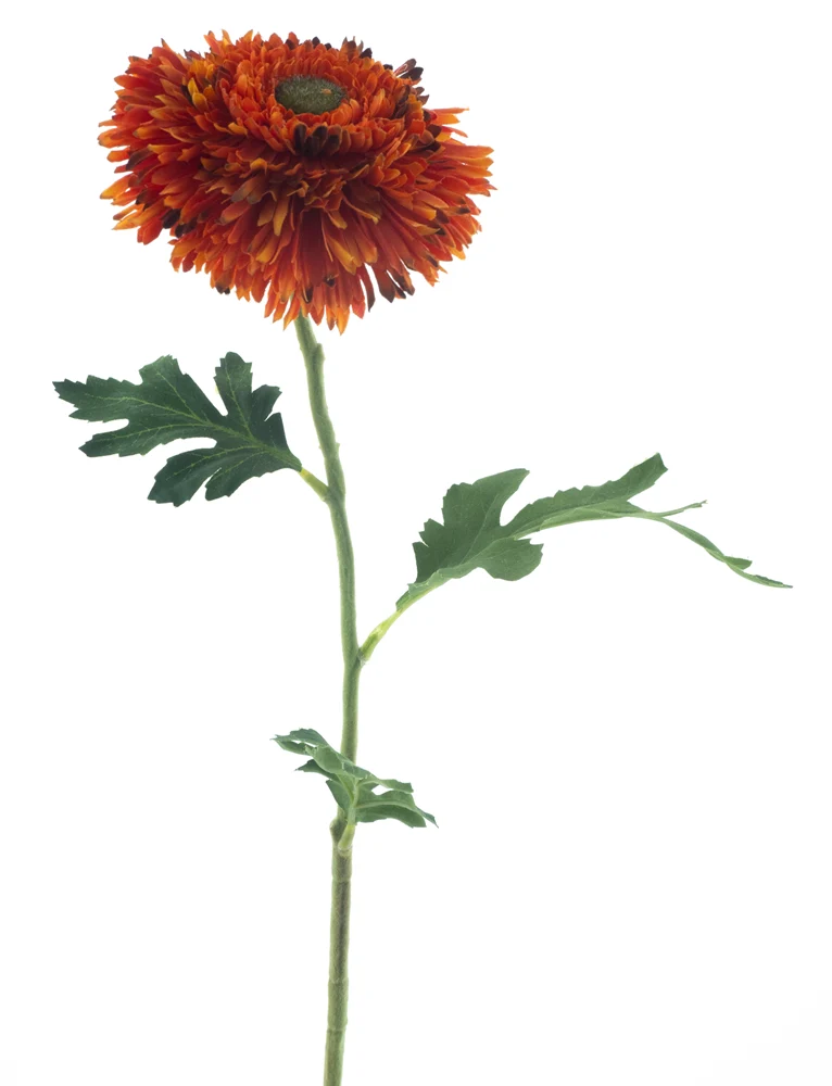 Wilde Gerbera Spray Orange 67cm