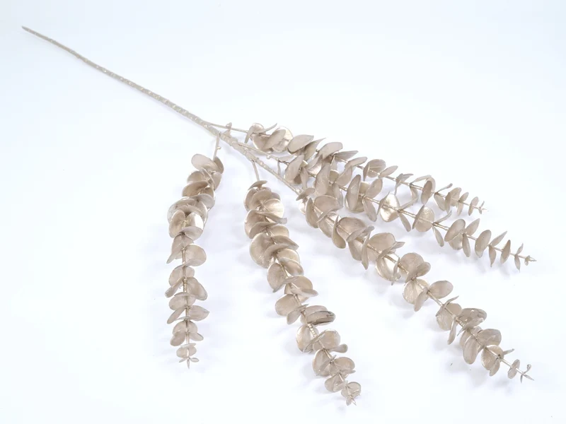 Eukalyptus-Spray Champagner 84cm