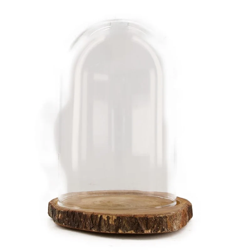 Glasglocke mit Holzsockel Ø18x26cm Natur