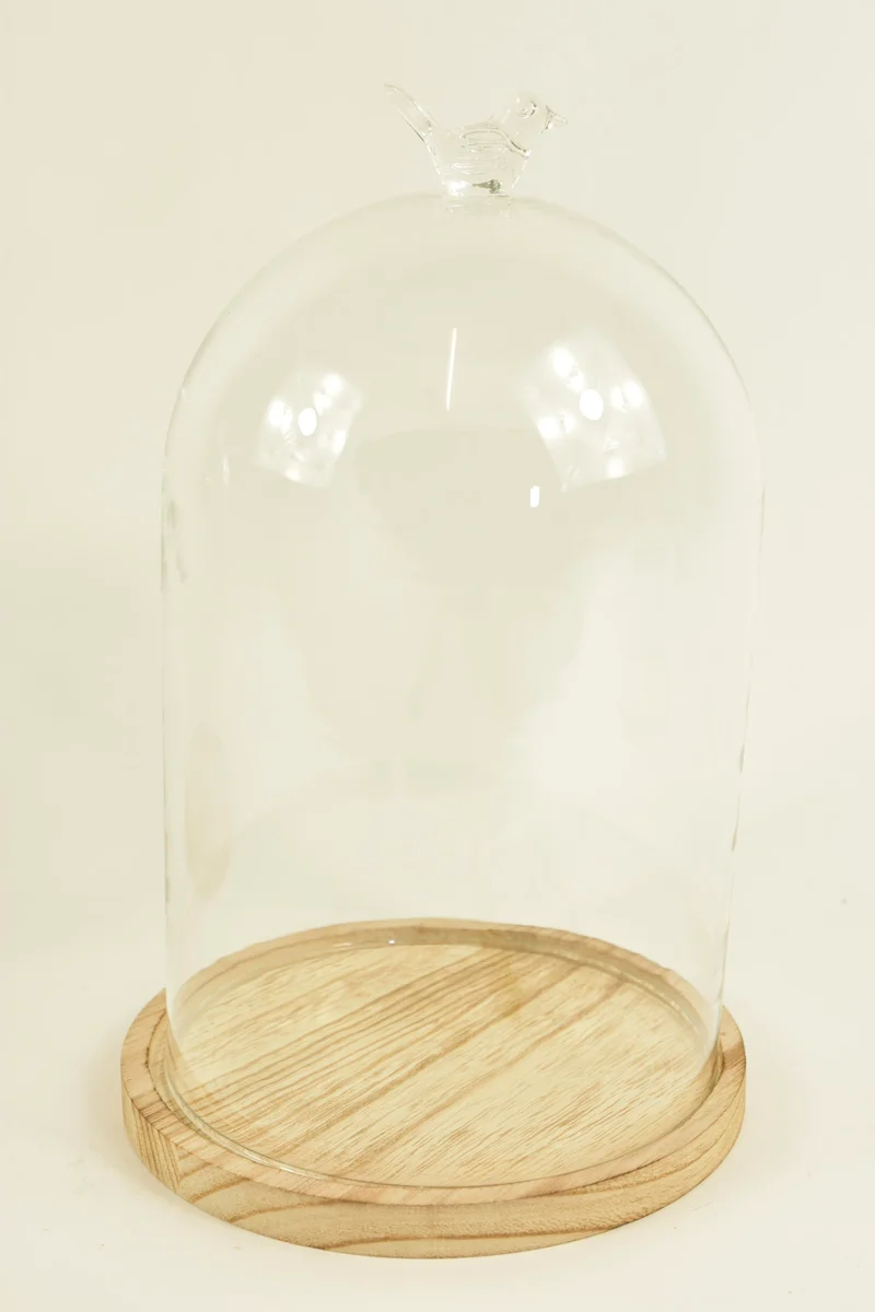 GLASVOGEL MIT GLOCKE D17X28H AUF HOLZSOCKEL NATUR