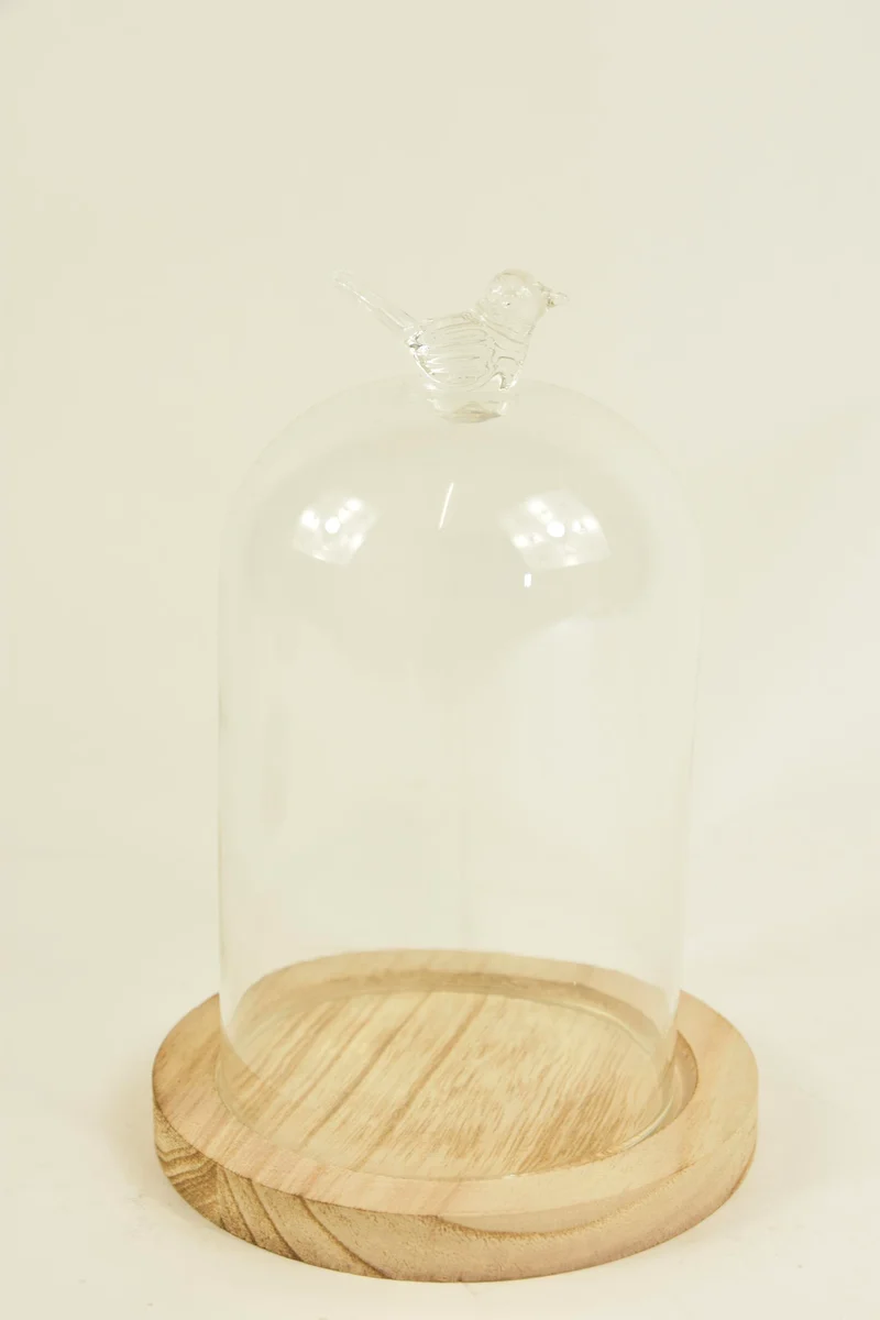 GLASVOGEL MIT GLOCKE D13X19H AUF HOLZSOCKEL NATUR