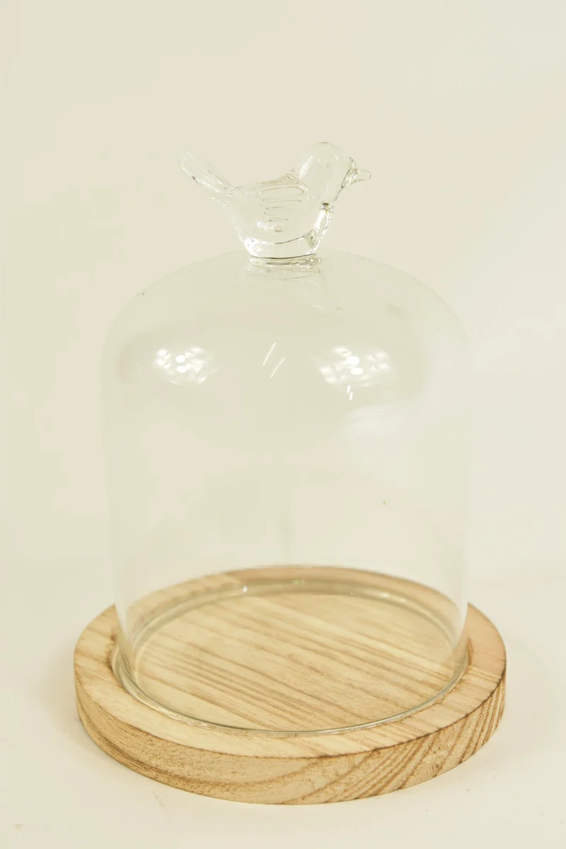 GLASVOGEL BELL D10X13,5H AUF HOLZSOCKEL NATUR