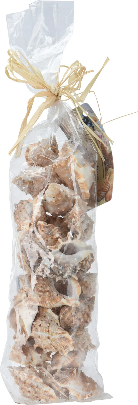 MUSCHELDEKO IM BEUTEL, 6ER-SET, SORTIERT, 35X9X6CM