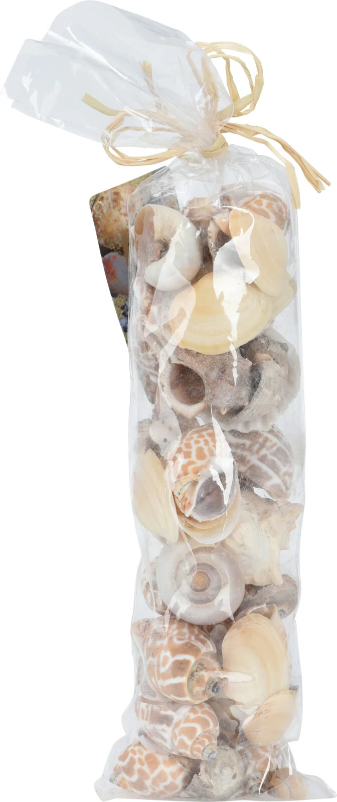MUSCHELDEKO IM BEUTEL, 6ER-SET, SORTIERT, 35X9X6CM