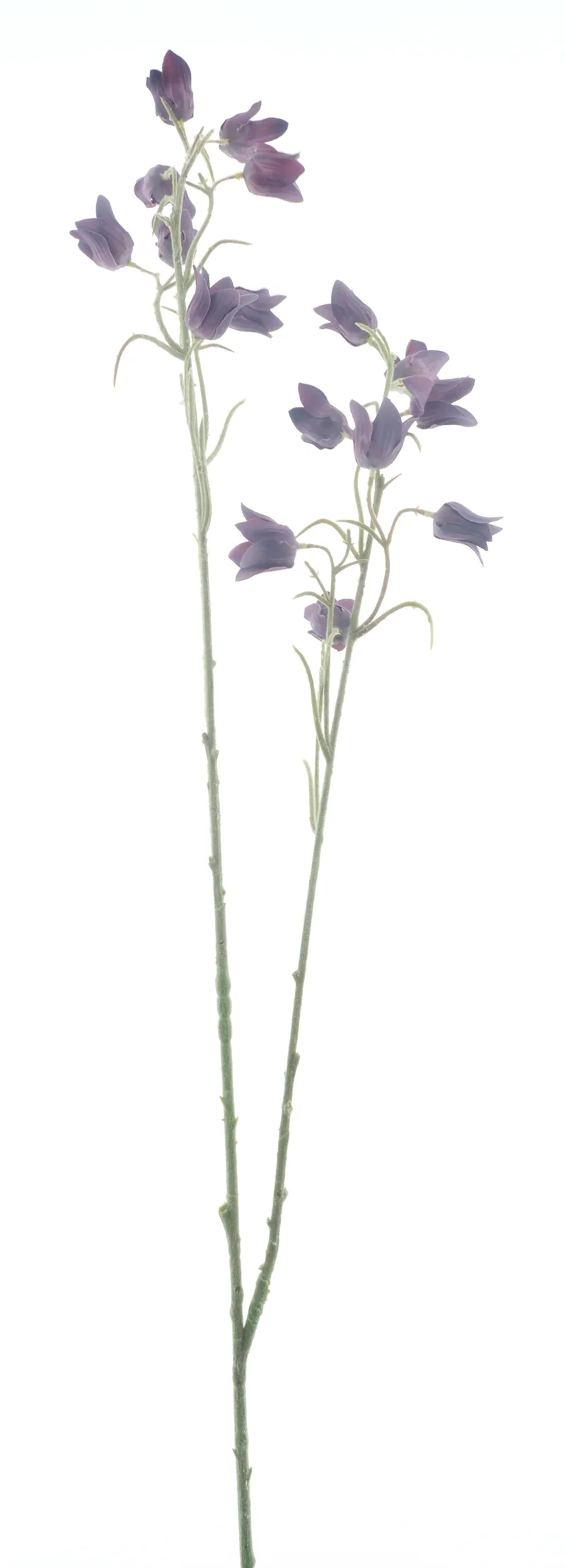 Mini Cora Bell Spray Lila 105cm