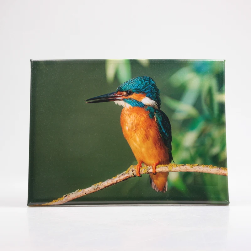 OUTDOOR-MALEREI EISVOGEL 30X40 CM