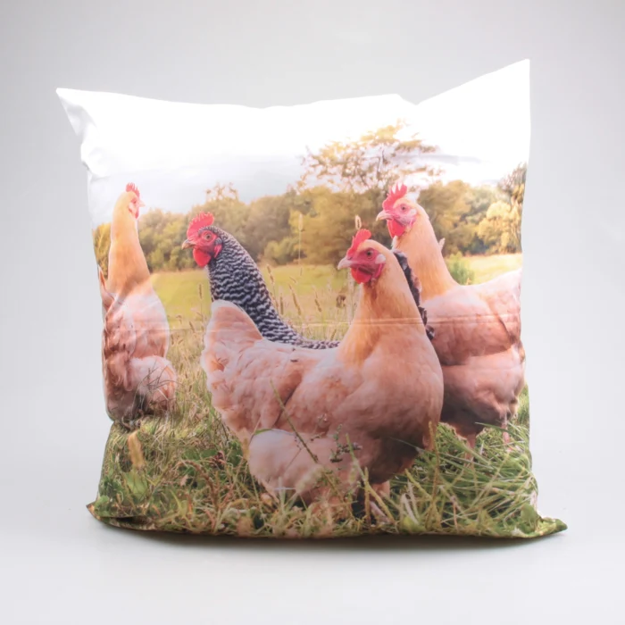 OUTDOOR-KISSEN HÜHNER 60X60 CM