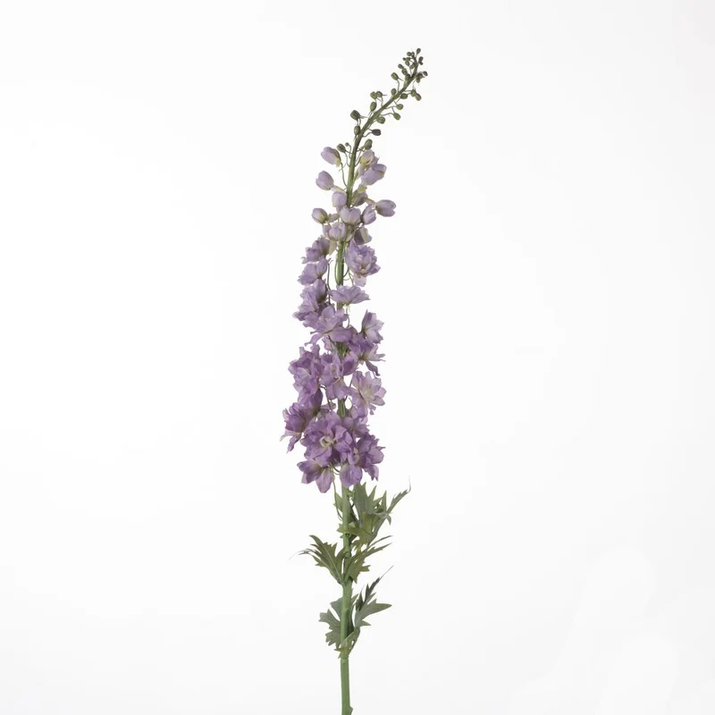 Delphinium L137cm Lavendel