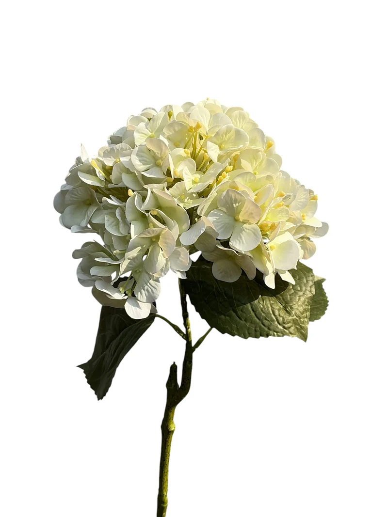 Hydrangea-Spray 75 cm, Echtfühl-Creme